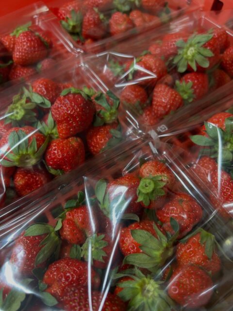 甘くって、酸味のバランスも良くて、
ほっぺたが落ちちゃうくらい美味しい💕
アグリマインドのいちごがお買い得になってます🍓

おはようございます💪
今日は1日雪予報☃️
現在明野は曇り、、時々雪がちらほら舞ってます❄️
お出かけ際はお気をつけて🚗

本日も地元のお野菜、
ロピアの冷凍国産牛肉(骨付きバラが15%オフ)、
アグリマインドのいちご、トマト各種🍓🍅
その他各種加工品を取り揃えて
皆様のご来店お待ちしております😊

2階レストランhidama*riではフェア期間中以下のメニューをご用意しております
⭐︎ビーフシチューセット(ライスorパン+サラダ付き)2500円　1日20食

⭐︎Tボーンステーキランチ(ライスorパン+トマト食べ放題付き)10000円　
4名様で1セットご注文できます。追加人数に関しましては5人目からパンorライス+トマト食べ放題料金500円になります
こちらは3日前予約になりますのでご注意下さい
※大変ご好評いただき、現在ステーキ肉再入荷待ちのためご予約受付を一時ストップしております。
大変申し訳ございません🙇

その他日によってトマトカレーか日替わりパスタ　お食事された方限定+300円でトマト食べ放題(味変で各種手作りドレッシングなどご用意してます)🍅
大人気のいちごパフェも如何ですか？
コーヒーだけでも気軽に立ち寄ってくださいね☕️

営業時間11:00-14:00(ラストオーダー13:40)

#八ヶ岳寒いほどお得フェア 
#あけの農さん物直売所 
#レストランhidama*ri