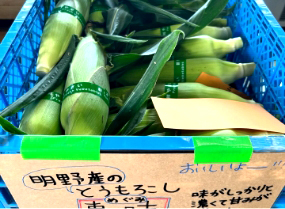野菜の日
