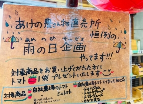 雨が降ると
