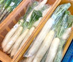 北杜市浅尾ダイコンまつり