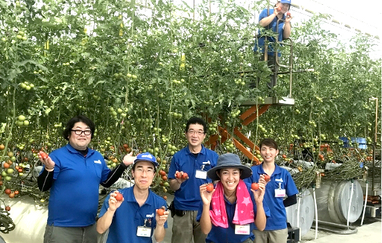 明野菜園