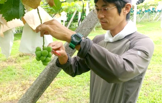 モリモリファーム