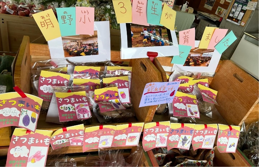 明野小学校3年生