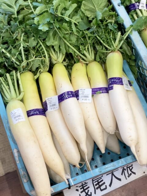 おはようございます☀
八ヶ岳も雪が積もっていて
冷たい空気で明野は寒いです🥶

今日の詰め放題‼️
・キウイフルーツ🥝

となっております。

この季節のブランド大根の
✨\浅尾大根/✨
本日もたくさん入荷しております!
干し大根もオススメですので
お待ちしております♪

・ミニトマト各種🍅
・白菜🥬
・りんご🍎
・柚子
・椎茸🍄‍🟫　
なども取り揃えておりますので
お待ちしております♪

#あけの農さん物直売所
#あけの農さん物直売所レストラン
#agrimind#アグリマインド
#山梨県北杜市明野町
#朝採れ#野菜#果物
#ランチ#カレー#ソフトクリーム
#トマト 
#トマト生活#🍅#ゆるキャン聖地
#ゆるキャン #明野ひまわり畑
#yamanashi #hokuto 
#北杜市#tomato
#yurucamp
#ゆるキャン聖地巡礼
#明野農産物直売所 #旬の果物 #りんご #柿 #秋スイーツ