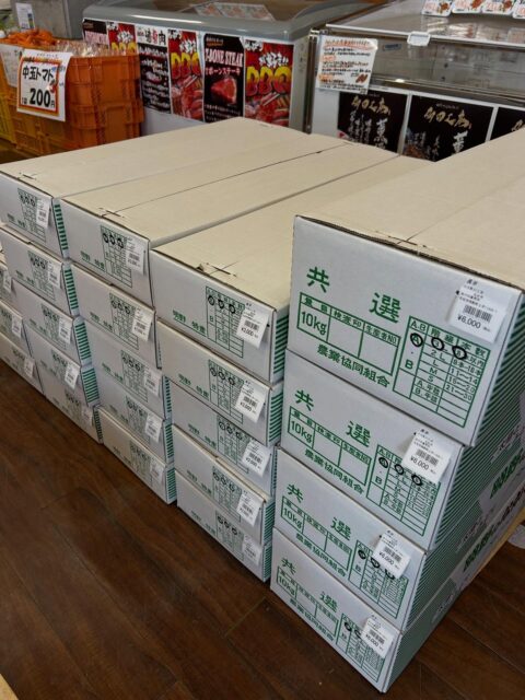 おはようございます☀

贈答用の長芋入荷しました！！
これが入ると今年も後僅か、、
一年が早いです💦

今日も干し大根、生大根、りんごなど地元の新鮮なお野菜入荷してます。
人参詰め放題、キウイ詰め放題も是非是非！！
毎月2と9の付く日は肉の日、今日は29日でなんと美味しい冷凍国産牛肉が15%OFF🥩
この機会に一度食べてみませんか？

当社アグリマインドのトマトも品数充実してます🍅

本日も皆様のご来店お待ちしております😊

#山梨 #山梨県 #山梨観光  山梨 北杜市 北杜市の暮らし  北杜 明野 明野ひまわり畑 直売所 農家 農業 あけの農さん直売所 あけの農さん物直売所レストラン 有限会社アグリマインド 野菜 野菜のある生活 トマト 果物 カレー 野菜カレー ゆるキャン ゆるキャン聖地  ゆるキャン聖地巡礼  今日も元気に