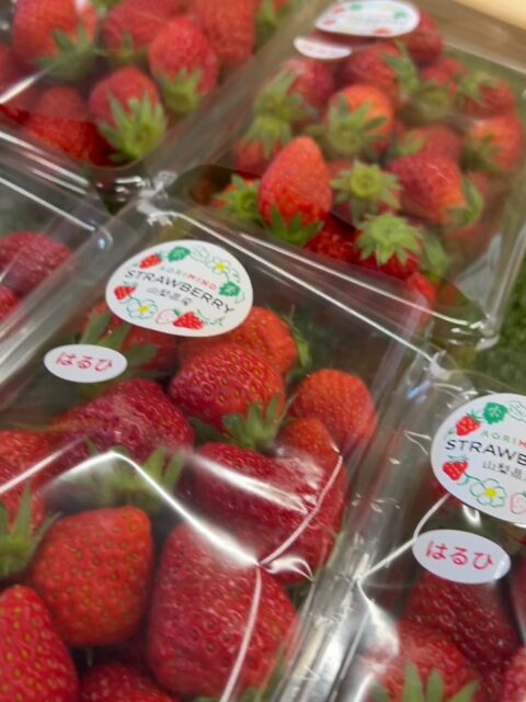 ツバメが帰ってきました🐧
今年は直売所の軒下に何軒の巣が出来るか
楽しみです🪹

おはようございます☀️
今朝はいちごの数が少ないので、早いもの勝ちです！

夕方にも入荷予定なのでよろしくお願いいたします🍓
トマトは品揃え充実です。

地元の春野菜もよろしくお願いします🌱
ウドに続きこごみも入荷してます☘️

本日も皆様のご来店お待ちしております😊

#株式会社アグリマインド 
#あけの農さん物直売所 
#レストランhidama*ri