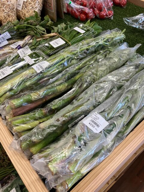 おはようございます☀
4/11(土)本日は晴れましたが風が強く
身体が飛ばされそうな感じです😂

さて本日の目玉商品は
春の山菜が沢山入荷しております🌱
うど・こごみ・わらび　などございます‼️

本日の詰め放題は
\\さつまいも🍠//ﾃﾞｽ✨

いちご🍓&トマト🍅も沢山
入荷しておりますので是非お越し下さい✨

#トマト#いちご
#🍅#🍓#明野#あけの農さん物直売所 
#北杜市 #山梨#yamanashi 
#野菜#直売所 
#ゆるキャン#ゆるキャン聖地