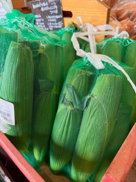 おはようございます☀
7/11(土)本日のオススメお野菜は‼️
・とうもろこし🌽
・じゃがいも🥔(詰め放題)
・玉ねぎ🧅(詰め放題)

⚫︎トマト入荷しております‼️
・中玉トマト
・ミニトマト
・ルガンティーノ各種ございます‼️

是非、土日のドライブのお買い物など
お立ち寄り下さいませ♪

#ゆるキャン
#ゆるキャン聖地巡礼
#北杜市#あけの農さん物直売所 
#サンフラワーフェス
#トマト直売所#じゃがいも#玉ねぎ