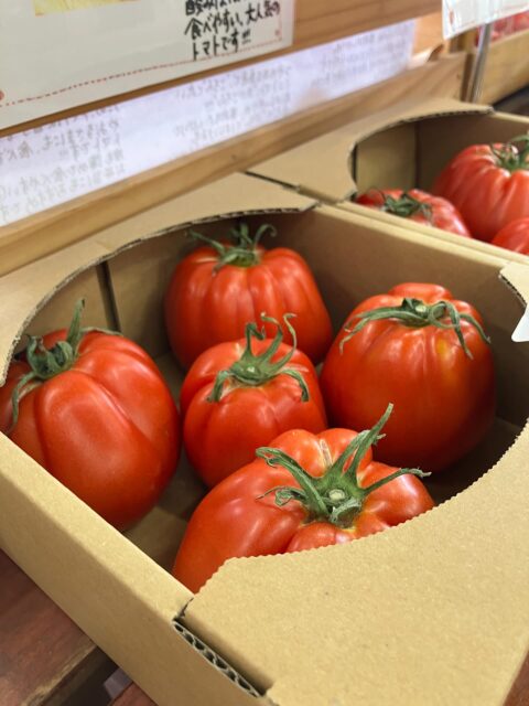 おはようございます☀
7/12(日) W杯も4強まで決まってきて
いよいよ大詰めですね✨⚽️

さて本日のオススメお野菜は‼️
・ルガンティーノ🍅
・中玉トマト🍅
・スイカ🍉
・かぼちゃ🎃
・とうもろこし🌽
・夕顔

となっております！
是非、お買い求め下さいませ♪

2Fレストランは
11:00-14:00(L.O 13:40)で
本日も営業します🍛

本日もよろしくお願いします😊

#あけの農さん物直売所 
#あけのひまわりフェスティバル 
#ゆるキャン#ゆるキャン聖地巡礼
#明野サンフラワーフェス 
#🌻#🍅