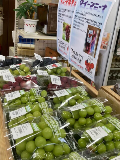 おはようございます♪
9/6(日) 今日はくもり模様の明野です☁️

⚫︎本日のオススメ‼️

🍇ぶどう🍇
⚫︎ピオーネ
⚫︎サニードルチェ
⚫︎巨峰
🟢シャインマスカット

トマト🍅
⚫︎ルガンティーノ
⚫︎トマるんるん♪
箱売り

ミニトマト各種🍅
ございます‼️

是非お買い求め下さいませ☆

#ゆるキャン#ゆるキャン聖地
#ゆるキャン聖地巡礼
#トマト#シャインマスカット
#ぶどう#🍇#🍅